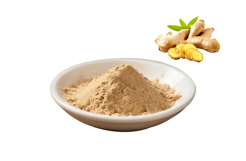 Best Ginger Powder